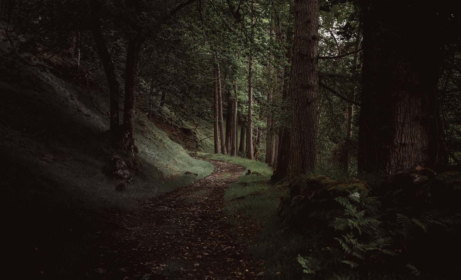 Widerstandsfähigkeit