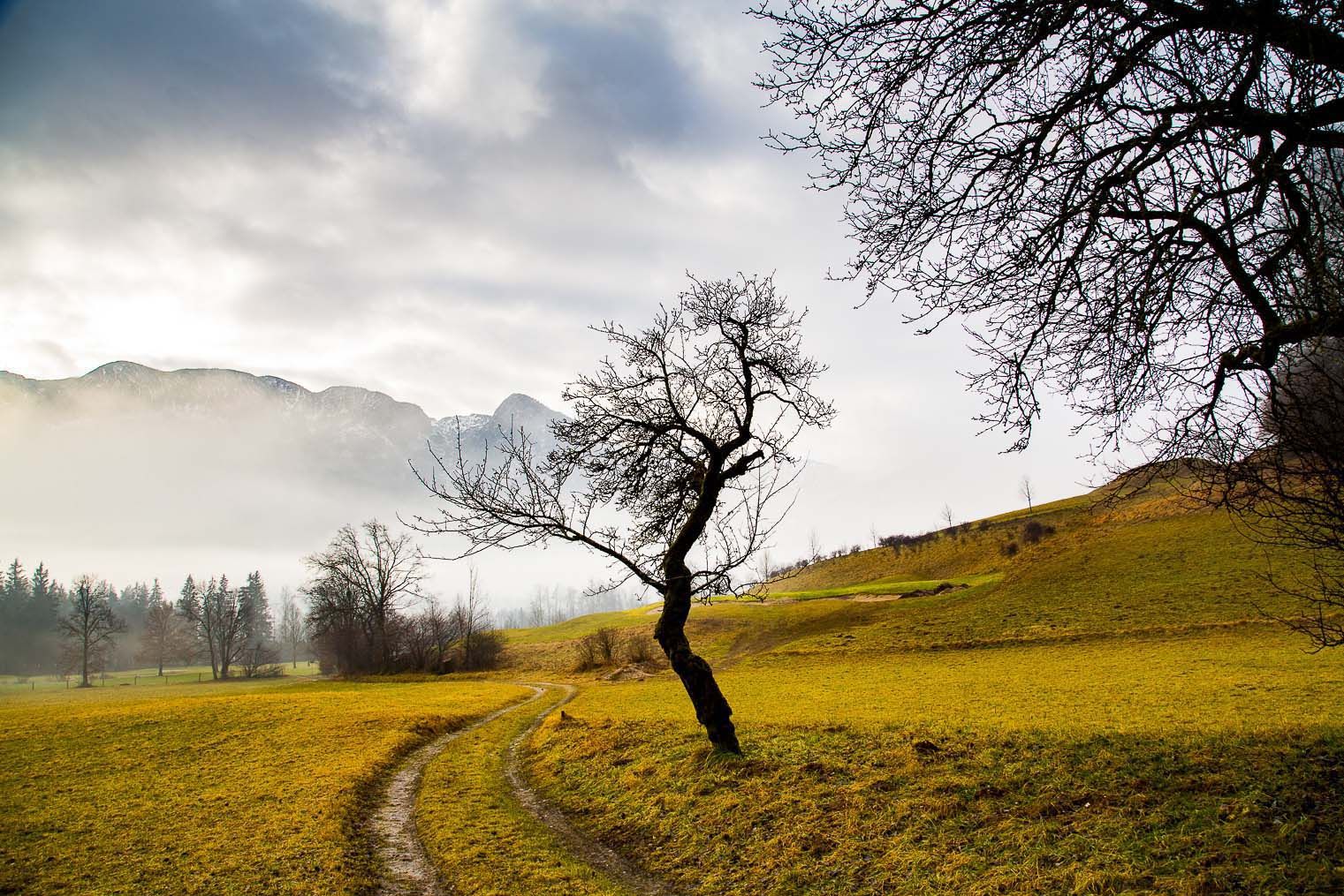 Psychotherapie Wien - Inge Reutterer 